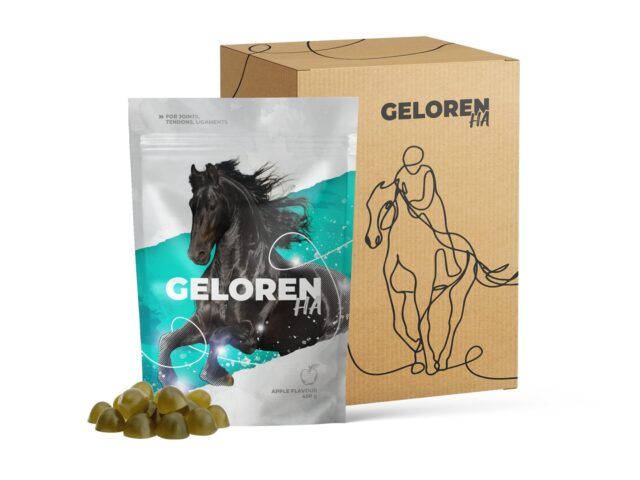 GELOREN Horse HA Joints - vitamins for horses - 450g - imagine 2