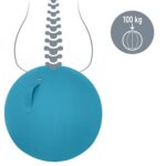 Leitz Ergo Cosy Active Sitting Ball - imagine 9