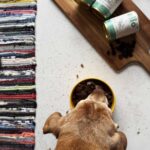 OLLO Umami Goose and turkey - wet dog food - 850g - imagine 6