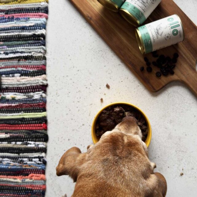 OLLO Umami Goose and turkey - wet dog food - 850g - imagine 6