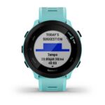 Garmin Forerunner 55 2.64 cm (1.04 ) MIP 42 mm Digital 208 x 208 pixels GPS (satellite) - imagine 2