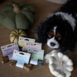 Paka Zwierzaka PEPE VET Przysmak Skin and coat 70g - imagine 2