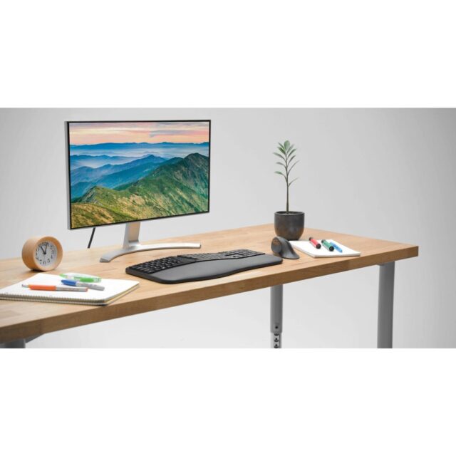 Kensington Classic USB-A Headset with Mic - imagine 8