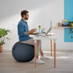 Leitz Ergo Cosy Seat Ball grey - imagine 2