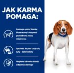 HILL'S Prescription Diet Weight loss r/d - wet dog food - 350g - imagine 4