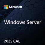 MS Windows Svr CAL 2025 PL 5Clt Device CAL OEM