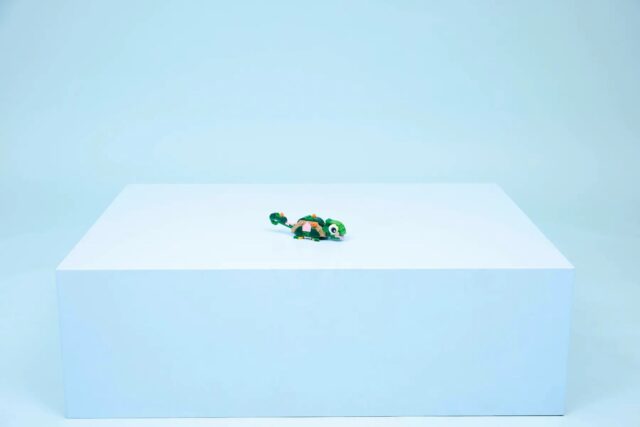 LEGO CREATOR 3 IN 1 31377 Turtle with a Water Lily Flower - imagine 10