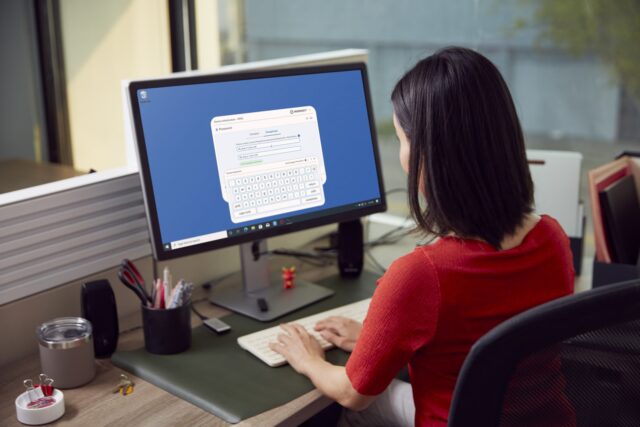 Kingston Technology IronKey 32GB Vault Privacy 50 AES-256 Encrypted  FIPS 197 - imagine 6