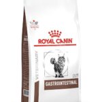 ROYAL CANIN Cat Gastrointestinal VHN - dry cat food - 4kg