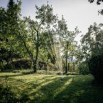 FS. OSCILLATING SPRINKLER X-SERIES L - imagine 10