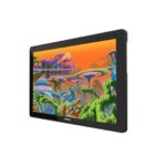 Graphics tablet Huion Kamvas 22 Plus - imagine 2