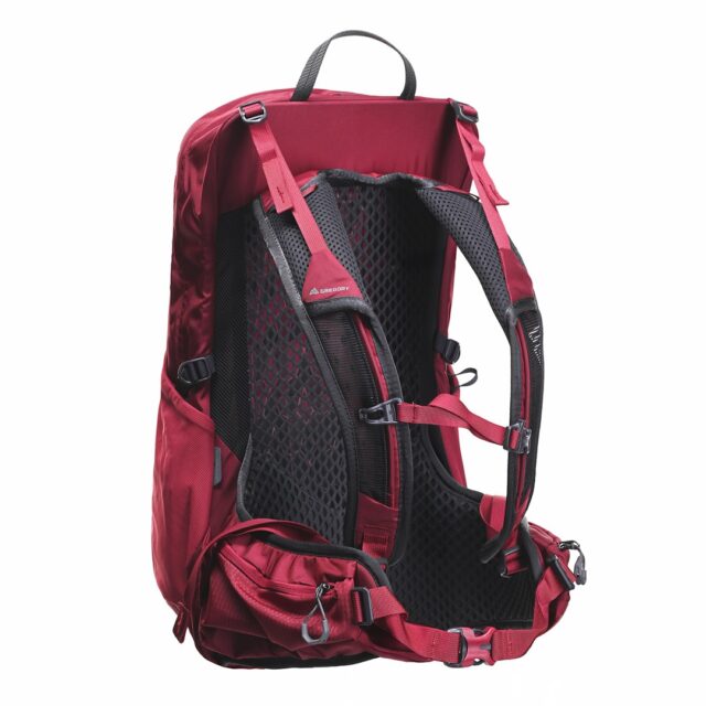 Gregory Jade 20 LT Women's trekking backpack - Red - imagine 7