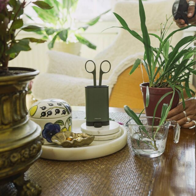 Plant Care Set for Plants 3 pcs - imagine 6