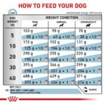ROYAL CANIN Hypoallergenic - dry dog food - 2kg - imagine 5