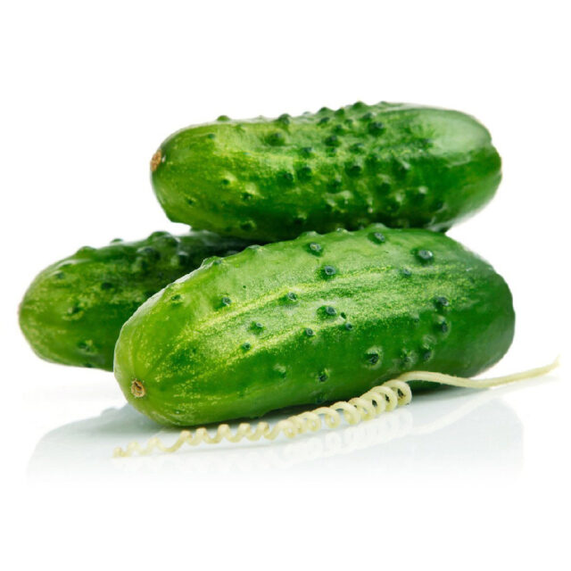 PNOS Nasiona otoczkowane | Ogórek Gruntowy Szeryf F1 | Opakowanie 50szt - imagine 6