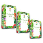 TORAF ZESTAW NASION - SET 3X3 2024 TORAF 24X1SZT