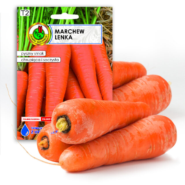 PNOS Nasiona na taśmie | Marchew Jadalna Lenka | Taśma 6m - imagine 3