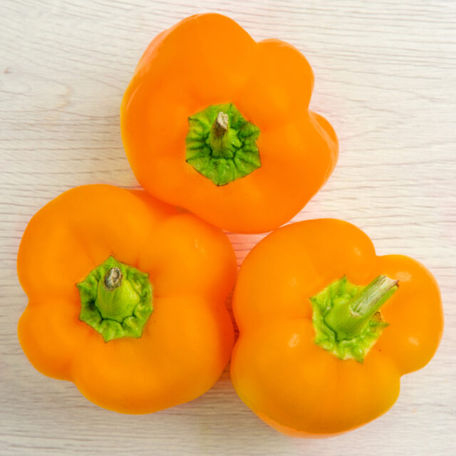 PNOS Nasiona warzyw | Papryka Etiuda | Opakowanie 0,5g - imagine 4