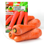 PNOS Nasiona na taśmie | Marchew Jadalna Dolanka | Taśma 6m