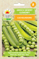 Toraf Nasiona warzyw | Groch Siewny Sześciotygodniowy | Opakowanie 50g - imagine 2