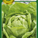 PNOS Nasiona warzyw | Sałata Głowiasta Masłowa Dippego | Opakowanie 1g