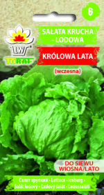 Toraf Nasiona warzyw | Sałata Krucha Lodowa Lata | Opakowanie 1g - imagine 2