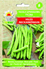 Toraf Nasiona warzyw | Fasola Szparagowa Tyczna Hilds | Opakowanie 10g - imagine 2