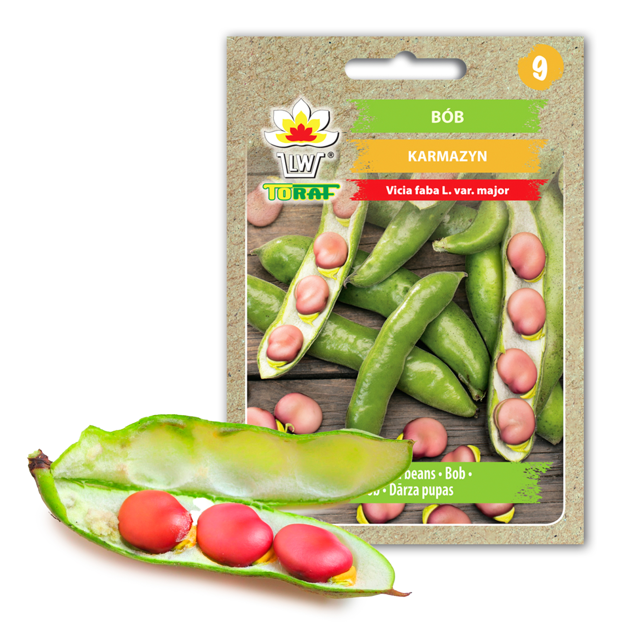 cps-0e4d69f9d98c7a024fffc0d0aab81c75-2026-02-23-11-41-07 Toraf Nasiona warzyw | Bób Karmazyn | Opakowanie 30g - imagine 1