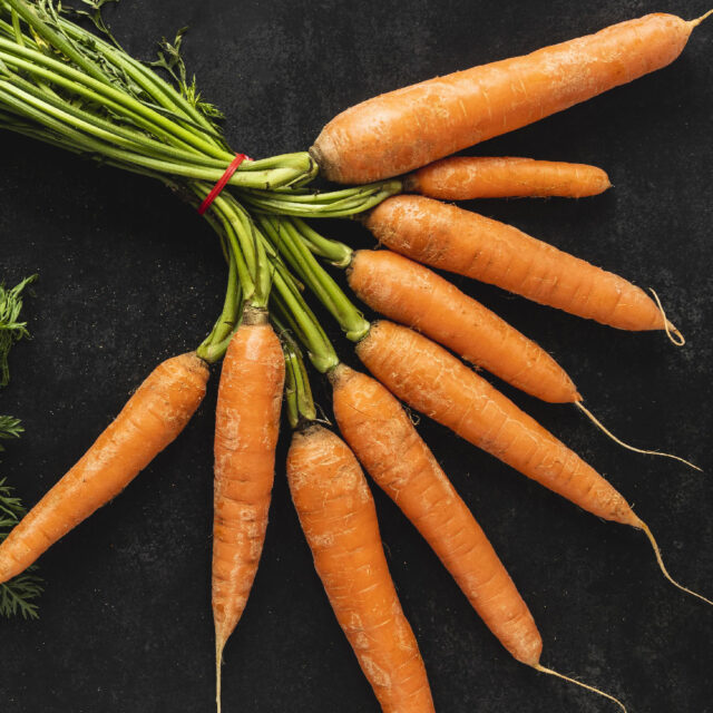 PNOS Nasiona na taśmie | Marchew Jadalna Lenka | Taśma 6m - imagine 5