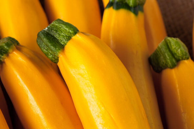 Toraf Nasiona warzyw | Cukinia Goldena | Opakowanie 5g - imagine 5