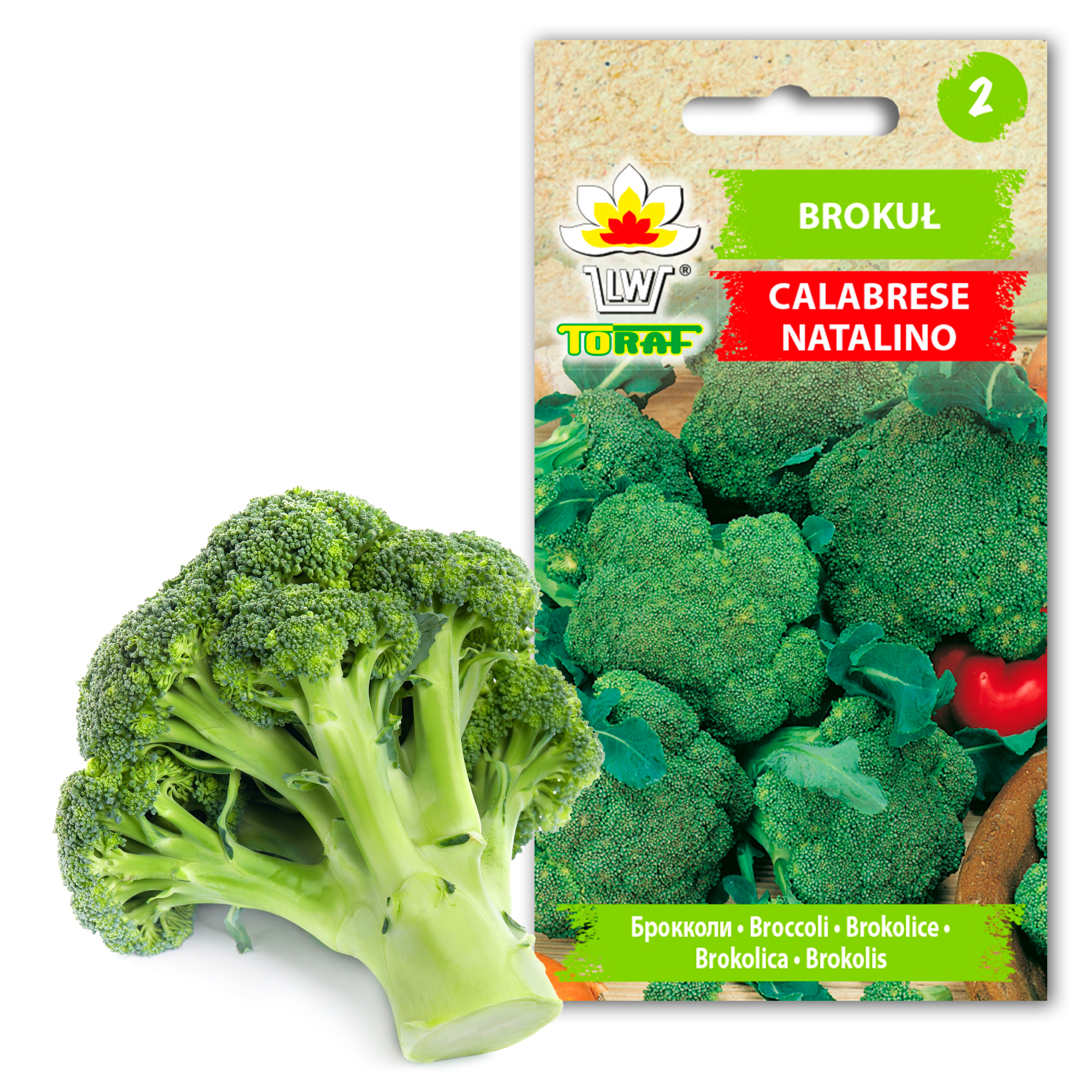 cps-11d48a1488e327b3d5d3ce31287a56d0-2026-02-23-11-41-17 Toraf Nasiona warzyw | Brokuł Calabrese Natalino | Opakowanie 1g - imagine 1