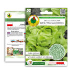 PNOS Nasiona otoczkowane | Sałata Głowiasta Masłowa Królowa Majowych | Opakowanie 100szt. - imagine 9