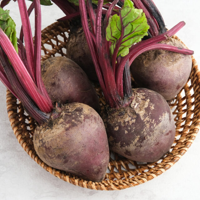 PNOS Nasiona otoczkowane | Burak Ćwikłowy Czerwona Kula 2 | Opakowanie 100szt - imagine 7