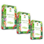 TORAF ZESTAW NASION - SET 5X3 2024 TORAF 36X1SZT