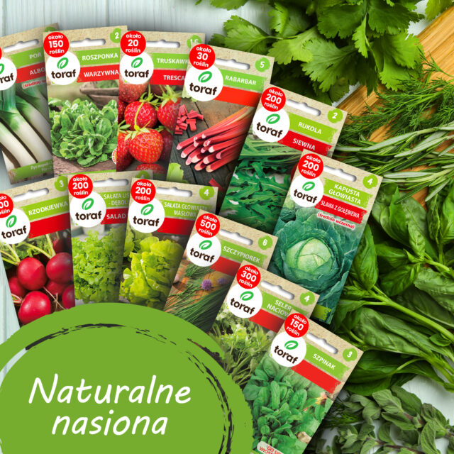 TORAF ZESTAW NASION SMAKI WIOSNY - 12 OPAKOWAŃ - imagine 4