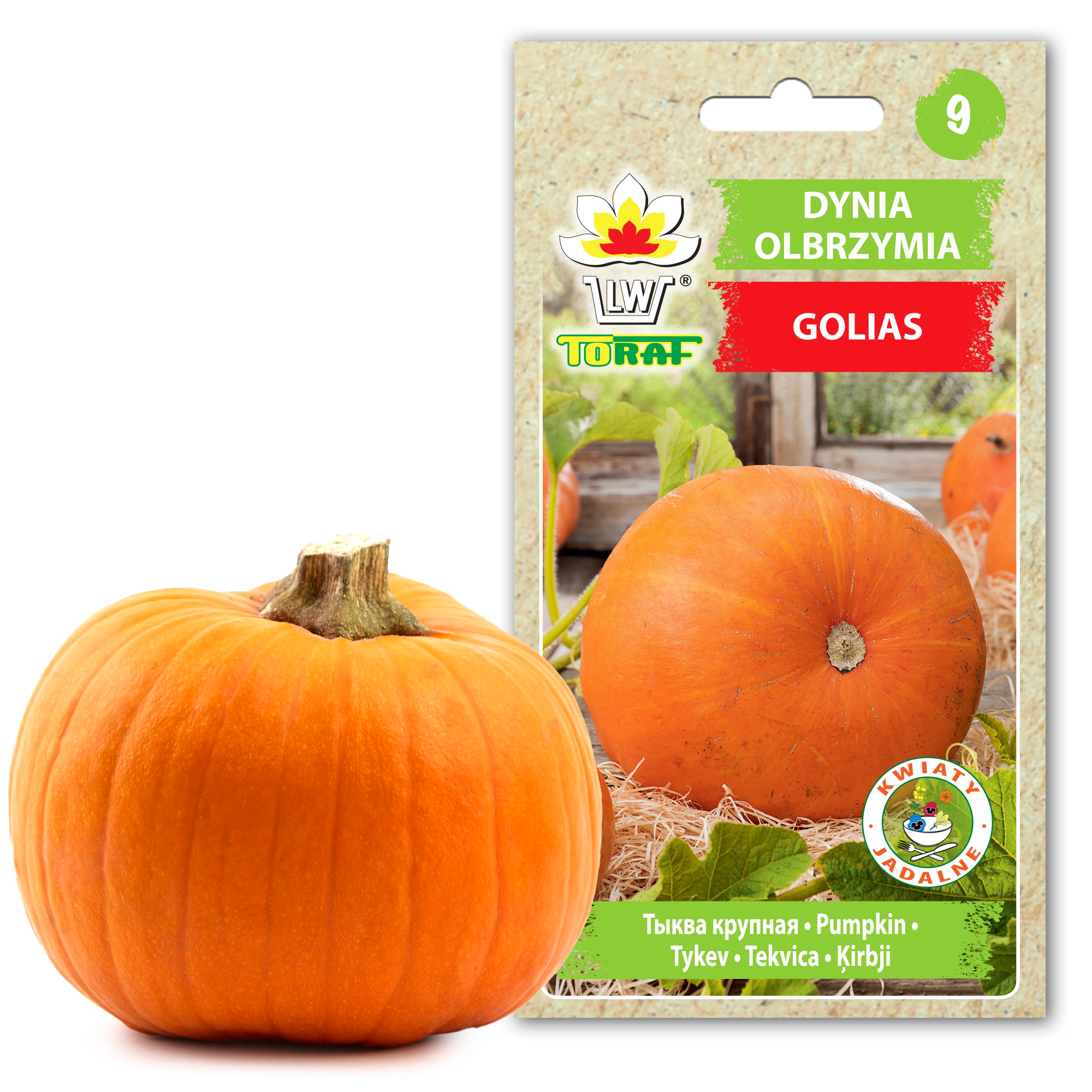cps-223cc1afce25a6e21b37bcc41a5a7479-2026-02-23-11-46-28 Toraf Nasiona warzyw | Dynia Olbrzymia Golias | Opakowanie 4g - imagine 1