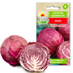 Toraf Nasiona warzyw | Kapusta Głowiasta Czerwona Mars | Opakowanie 2g