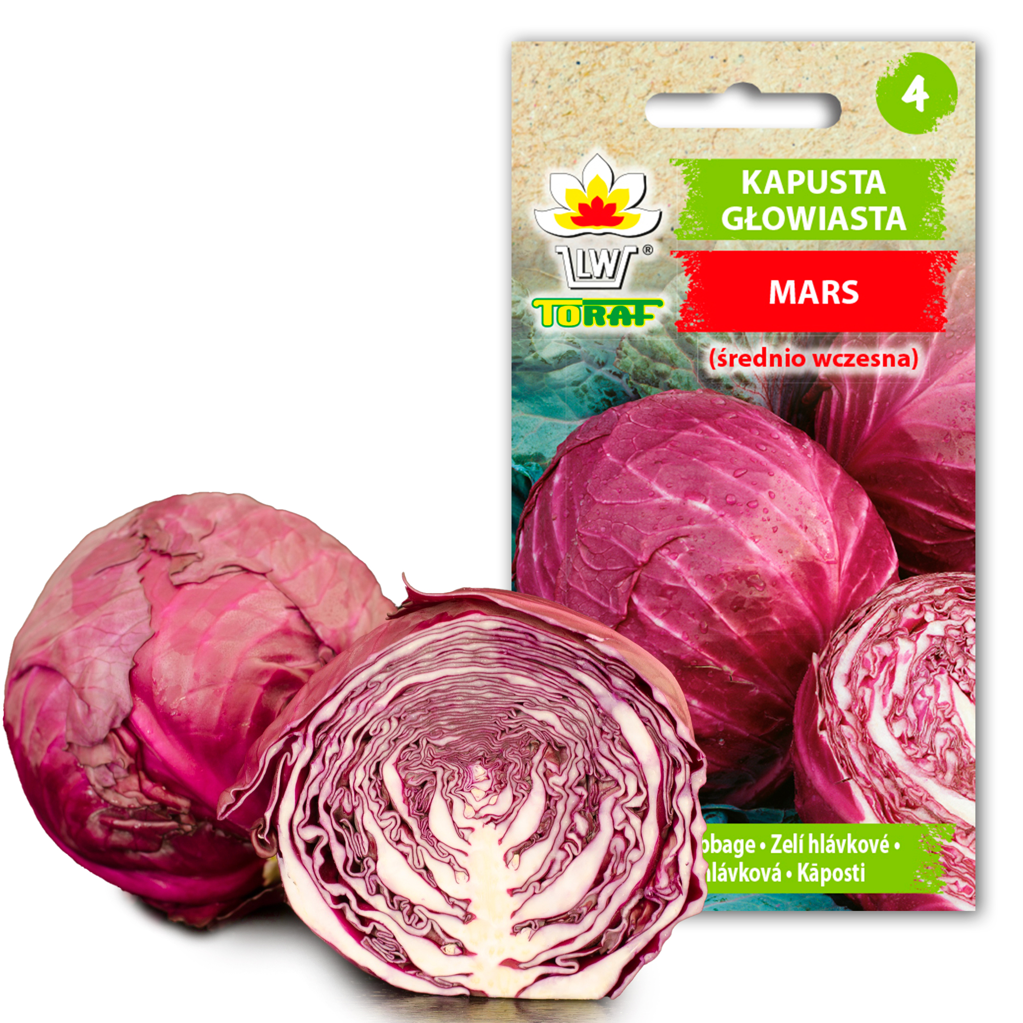 cps-23cbca573a3edbb40e984b6f98654158-2026-02-23-11-50-58 Toraf Nasiona warzyw | Kapusta Głowiasta Czerwona Mars | Opakowanie 2g - imagine 1