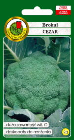 PNOS Nasiona warzyw | Brokuł Cezar | Opakowanie 2g - imagine 2