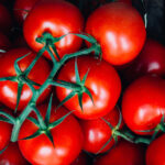 PNOS Mieszanka nasion | Dynia Olbrzynia | Opakowanie 0,9g - imagine 4