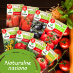 TORAF ZESTAW NASION POMIDOROWY EDEN - 8 OPAKOWAŃ - imagine 4