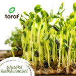 TORAF ZESTAW NASION SMAKI WIOSNY - 12 OPAKOWAŃ - imagine 2