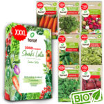 TORAF ZESTAW NASION SMAKI LATA - 7 OPAKOWAŃ