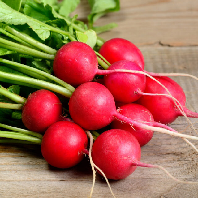 PNOS Nasiona na taśmie | Rzodkiewka Carmen | Taśma 6m - imagine 6