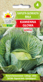 Toraf Nasiona warzyw | Kapusta Głowiasta Biała Kamienna Głowa | Opakowanie 2g - imagine 2