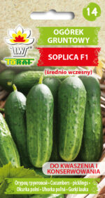 Toraf Nasiona warzyw | Ogórek Soplica F1 | Opakowanie 5g - imagine 2