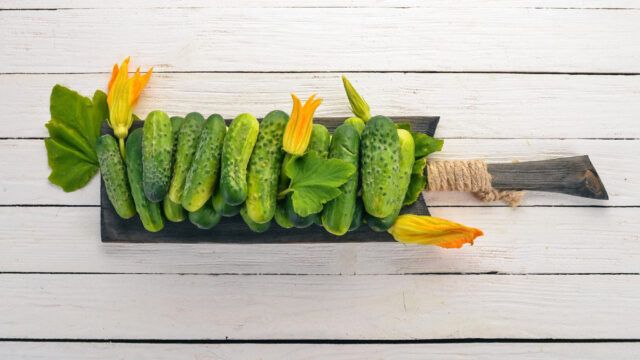 Toraf Nasiona warzyw | Ogórek Polan F1 | Opakowanie 5g - imagine 6