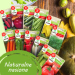 TORAF ZESTAW NASION WARZYWNY RAJ - 12 OPAKOWAŃ - imagine 4