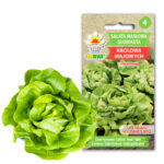 Toraf Nasiona warzyw | Sałata Masłowa Królowa Majowych | Opakowanie 2g