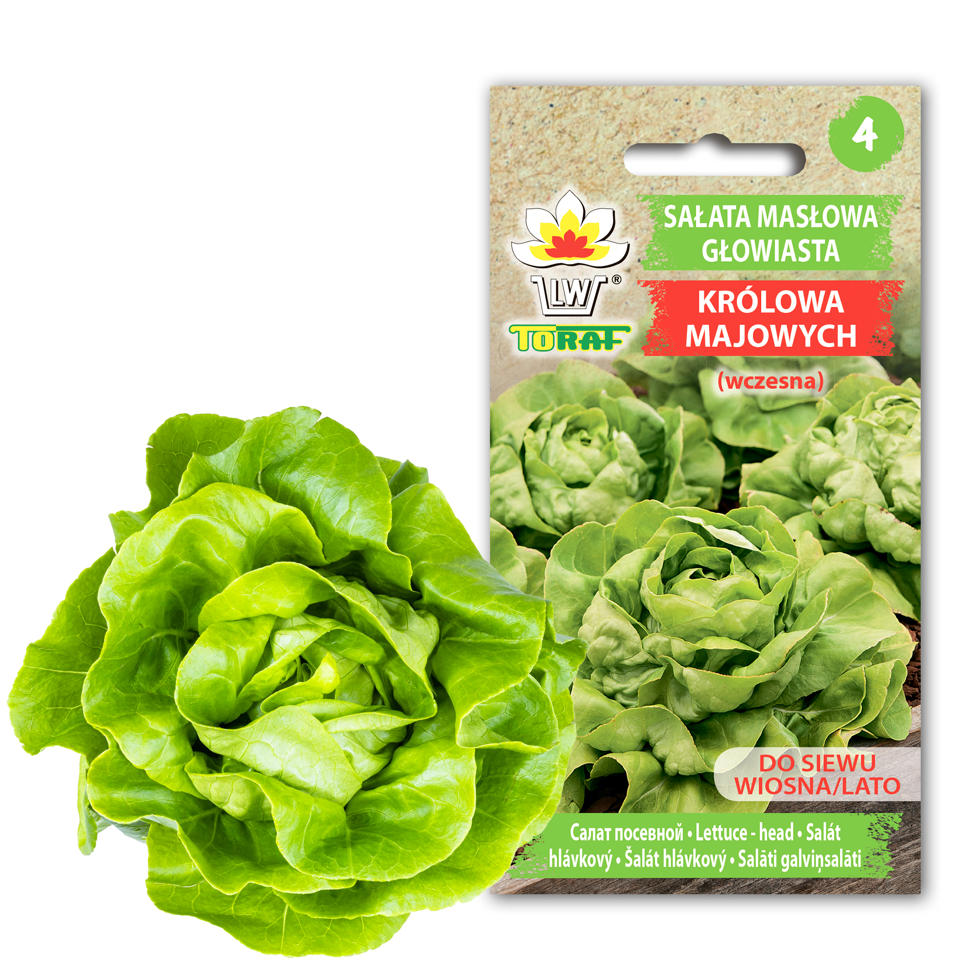 cps-3aa56258dd7cbc2d583aeb8e4267310b-2026-02-23-12-19-01 Toraf Nasiona warzyw | Sałata Masłowa Królowa Majowych | Opakowanie 2g - imagine 1